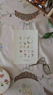 Bordados florales y botánicos con @paloyaguec