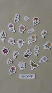 Bordados florales y botánicos con @paloyaguec